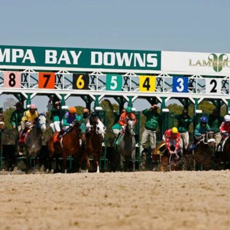 Tampa Bay Downs se zavazuje žít závody na Floridě